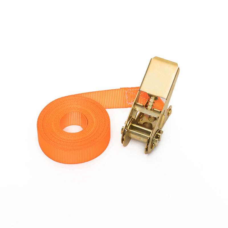 1 inch 25 mm*500 kg/800 kg eindeloze lus ratelriem