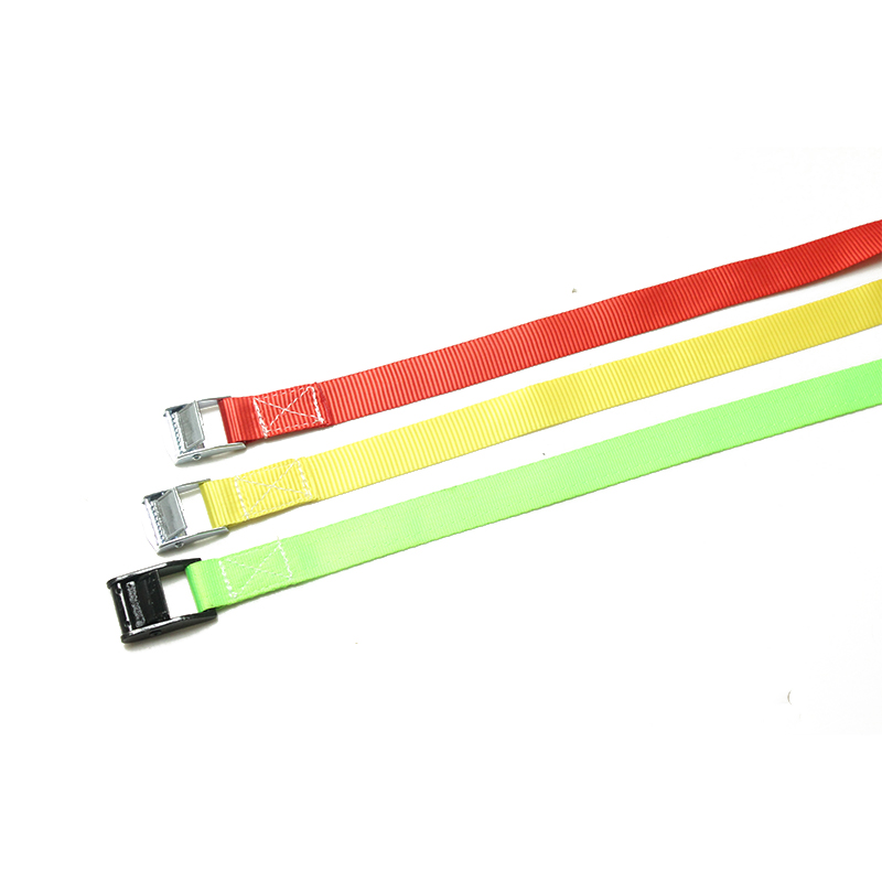 25mm 250 kg Cam Buckle Tie Down -riemen